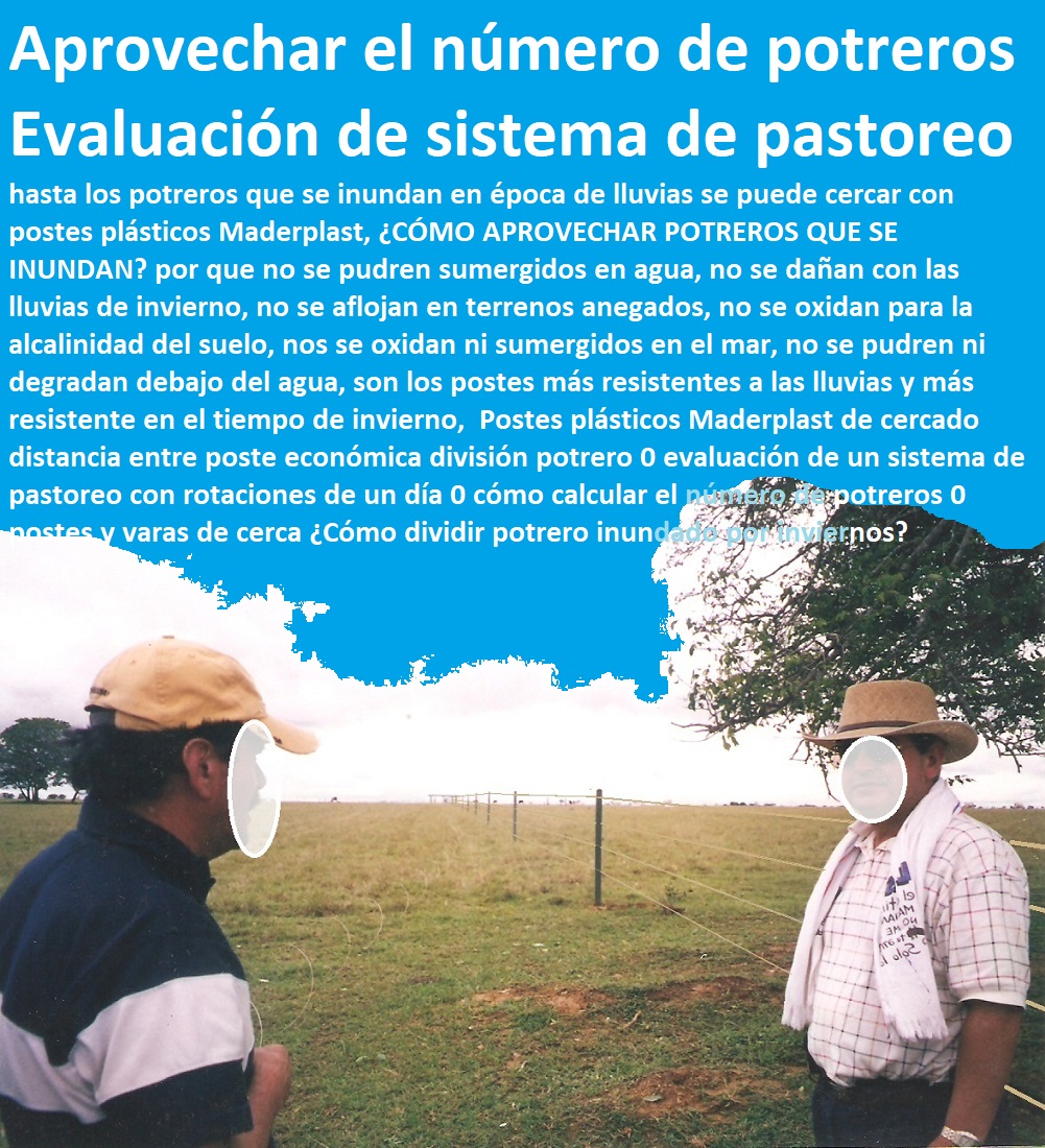 Plaza Toros, Brete Ganadero, Apretaderos Embarcaderos, Postes Tablas, Corral Caballerizas, Polines Varetas, Mangas De Coleo, Horcones Madera Plástica, Corrales, Establos De Ganado, Mangas De Coleo, Pesebreras De Caballos, Postes Y Tablas Para Corrales Horcones Estacones Polines Varetas Maderplast 0 como hacer un corral para ganado 0 estacones plasticos precio 0 Postes Plásticos de buena calidad 0 postes plásticos cercas con alambre plástico 0 Venta Postes Y Tablas Para Corrales Horcones Estacones Polines Varetas Maderplast 0 como hacer un corral para ganado 0 estacones plasticos precio 0 Postes Plásticos de buena calidad 0 postes plásticos cercas con alambre plástico 0 Venta